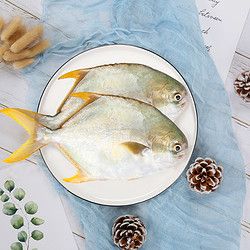 xiangtai 国产海南金鲳鱼 500g 14.9元(需买10件,共149元,需用券)