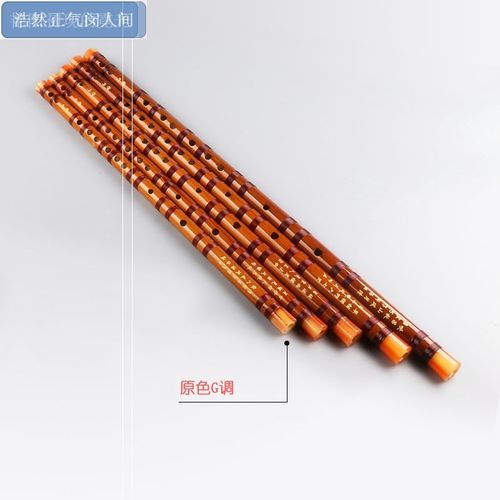 笛子初学古代高档随身幼儿园吹奏升级加厚个性笛子