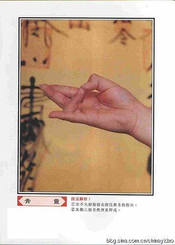 (转载)台湾闾山派道教手诀手印图1