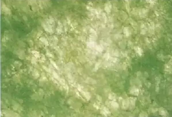 翡翠晶体结构是否紧密,是判断翡翠种好与差的最重要的标准.