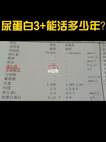 尿蛋白3 能活多少年?_肾病_医疗健康_医疗健康其他