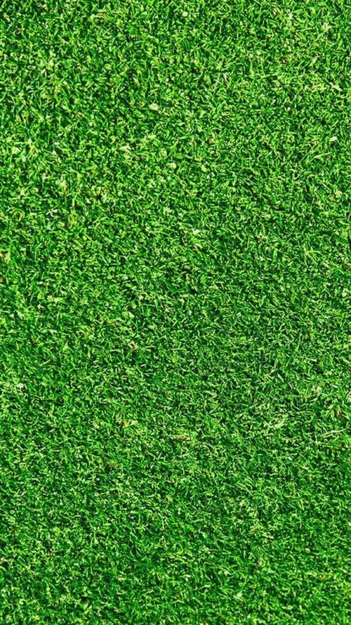 1,直接保存青青草坪的图片,设置成为聊天的背景; 2,保存养鸡的动态图