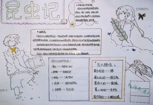 《昆虫记》手抄报打卡～_手抄报_昆虫记手抄报_文化