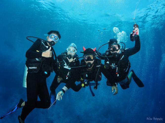 语言:中文 / 马来语 / 英文 专业:陆地 - 空中 - 水下摄影师 潜水