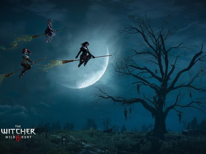 描述: 巫师3:狂猎 the witcher 3:wild hunt-游戏高品质的壁纸 当前