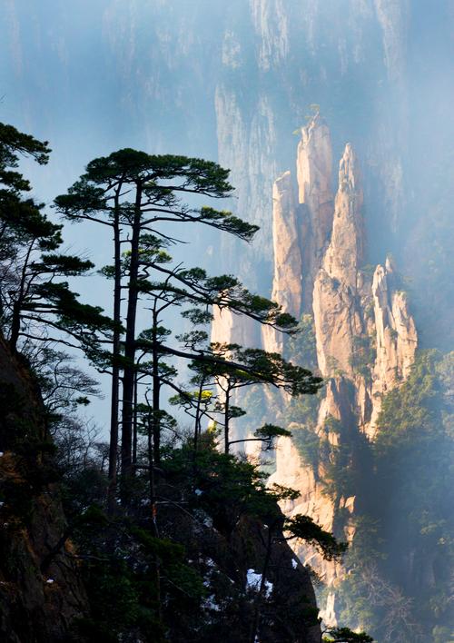 冬游黄山之劲松(首发)
