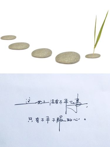 人生顿悟
