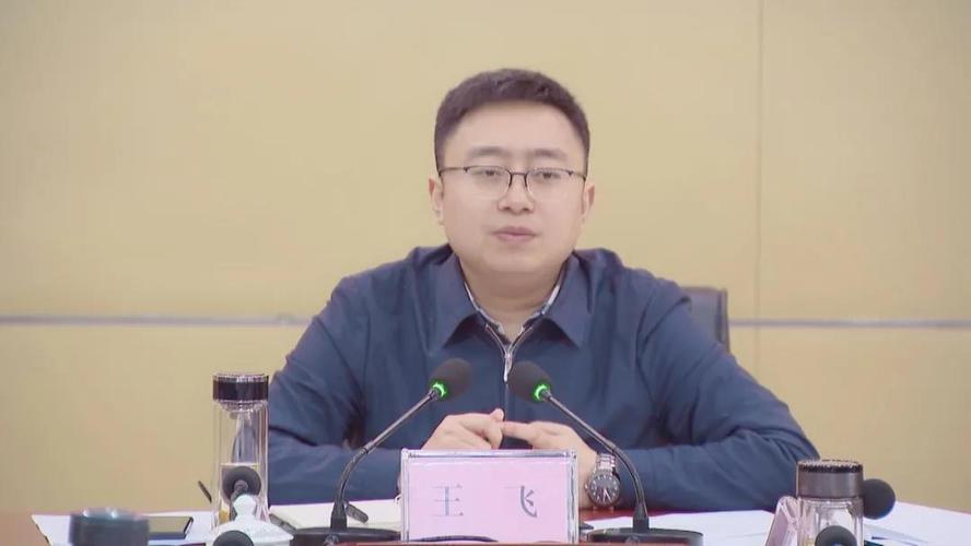 王飞主持召开投融资工作专题会