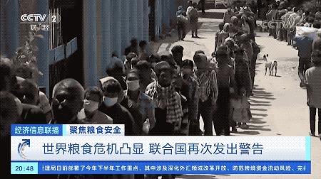 联合国再次拉响警报全球粮食危机愈演愈烈中国已做好准备