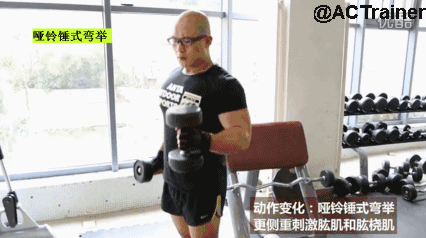 锻炼肌群:肱二头肌 前臂肌群