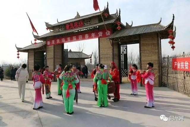 大荔新茂农场首届迎春年货会在沙苑举行