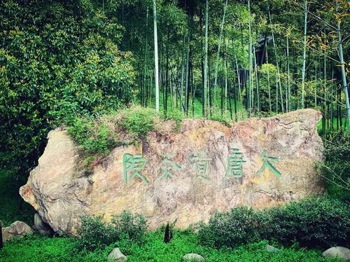 大唐贡茶院位于浙江省长兴县顾渚山侧的虎头岩,始建于唐大历五