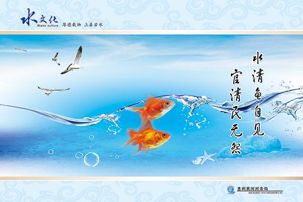河务局水文化