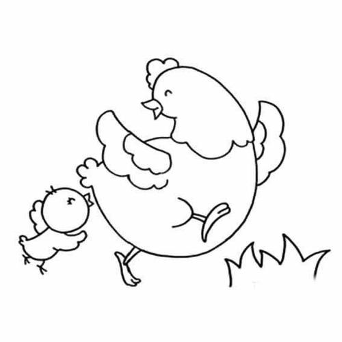鸡妈妈和小鸡简笔画图片大全