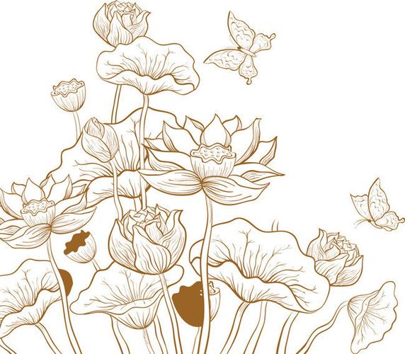 线描荷花图片-psd素材-百图汇设计素材