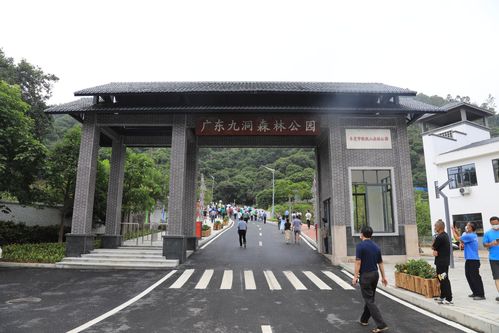 广东九洞森林公园银瓶山森林公园樟木头景区开园