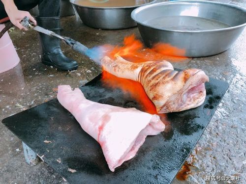时间成本可是很高的 得先用喷火枪将猪脚上的粗毛细毛全部烧光 从头