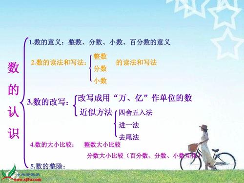 数的意义:整数,分数,小数,百分数的意义 整数 数 2.