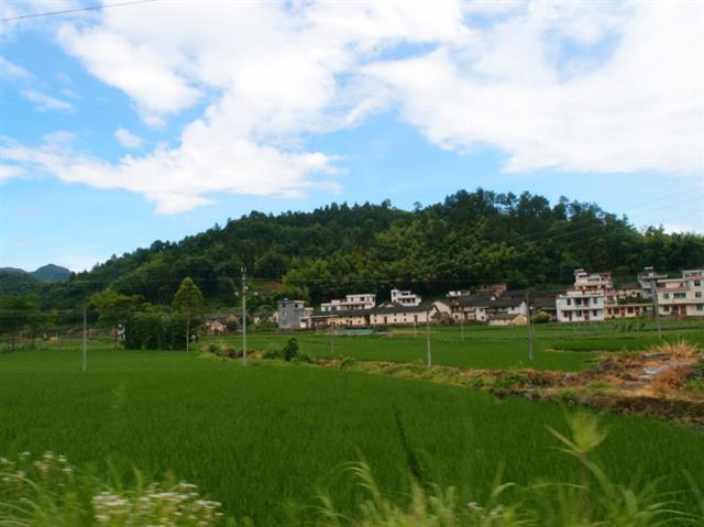 连州市【转载】