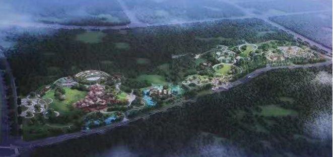 重磅|占地约200亩的信丰城北中央生态公园来了