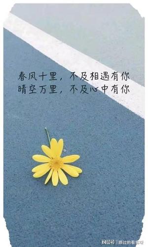 2021最新情人节情话最暖心短句文艺深情送给你最爱的人