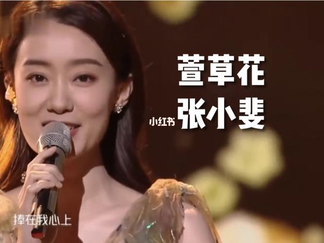 张小斐《萱草花》_张小斐_娱乐_音乐_音乐现场/mv