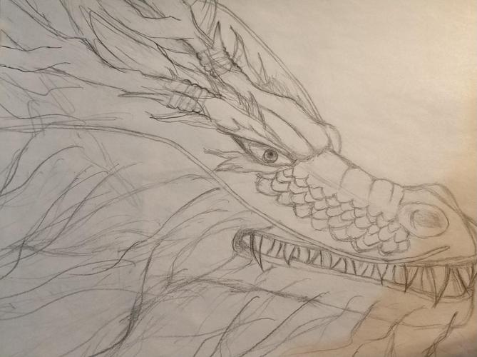 day 1 初稿——龙头部分完成 (感觉不画眼珠子帅一些,后来给擦了……)