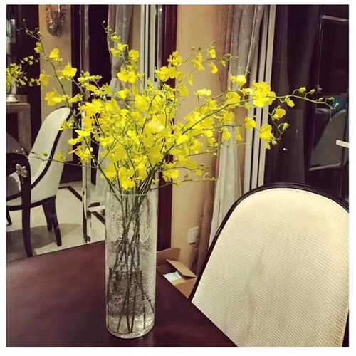 云南昆明斗南鲜花直批跳舞兰文心兰金蝶兰办公室家用插花一扎包邮