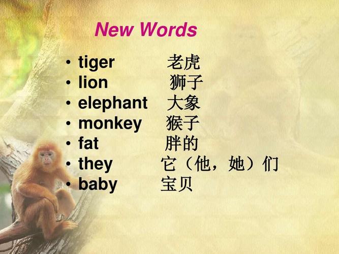 tiger 老虎 lion 狮子 elephant 大象 monkey 猴子