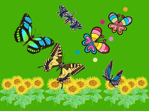 毛毛虫和蝴蝶ppt