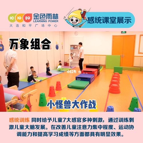 感统训练中的游戏,万象组合,组合万象!_故事_金色雨林