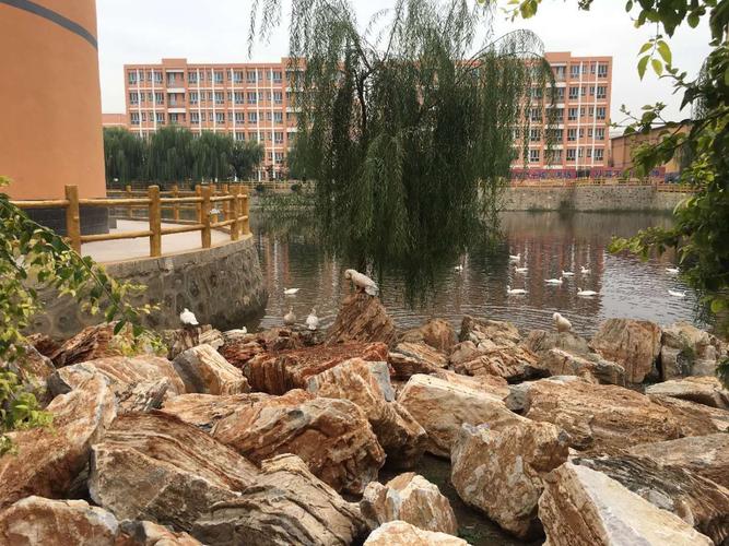 腾飞——奋进中的河北省唐县第一中学