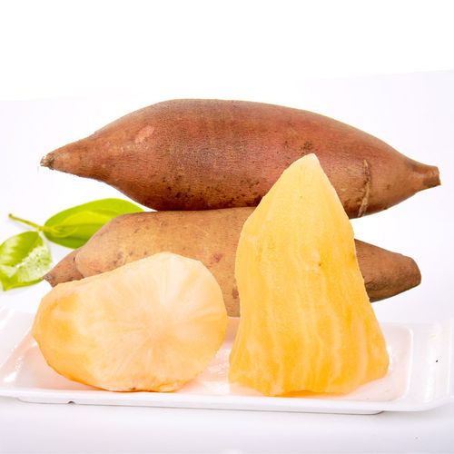 【预售】云南特产雪莲果9斤新鲜现挖现发农家种植天山红泥沙雪莲水果