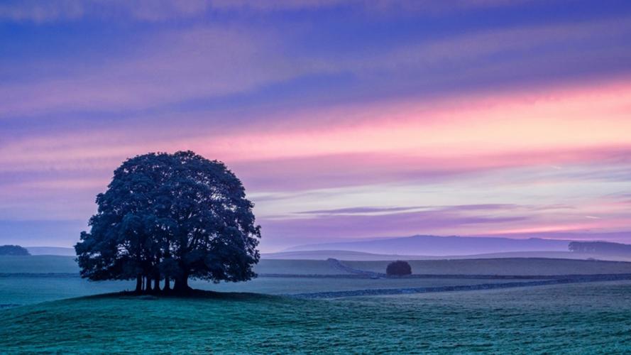 小清新唯美自然风光高清桌面壁纸