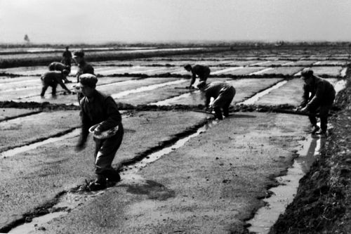 1962年3月,589团奉命进驻柏各庄农场.