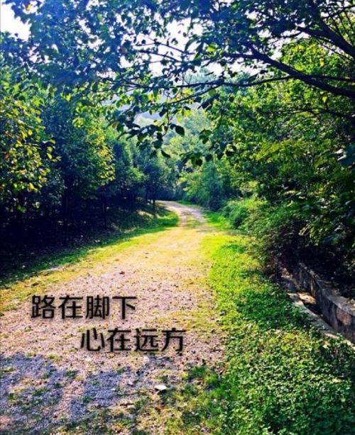 与君歌电视剧在线播放免费观看链接已分享