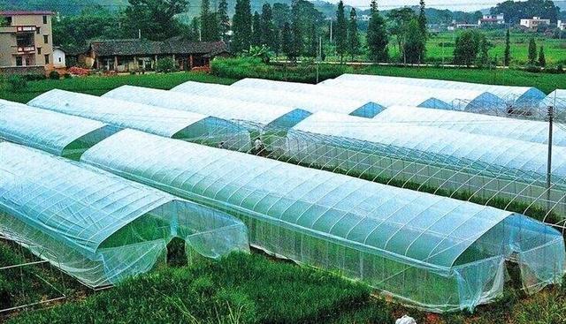 温室大棚控制系统方案,有效解决解决基质墒情作物生长