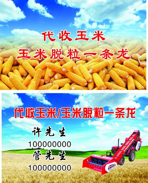玉米名片设计模板