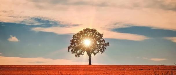 强大的心理暗示力不用你就亏了