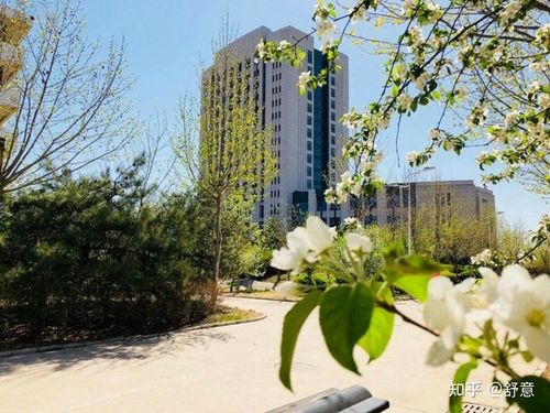 廊坊燕京职业技术学院的校园环境如何?