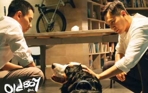 《老男孩》高清剧照桌面壁纸