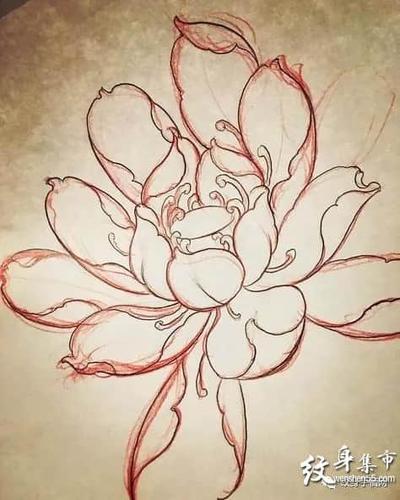 荷花纹身,荷花纹身手稿,荷花纹身手稿图案