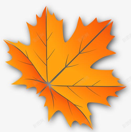 com 卡通落叶 手绘风格 枫叶 矢量叶子 秋天叶子 秋天落叶 矢量图