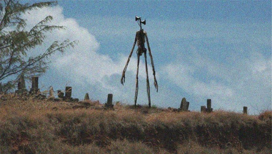 多人目睹警笛头伤害人类,这是真的吗?