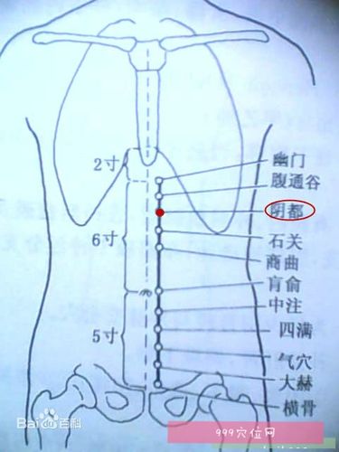 阴都穴穴位位置图,阴都穴的作用