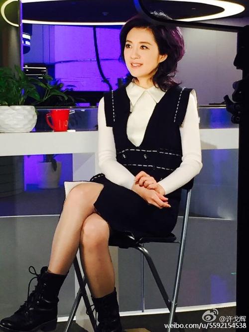 窦文涛许戈辉什么关系,许戈辉喜欢窦文涛吗?