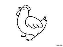 儿童鸡的简笔画鸡简笔画图片大全鸡的简笔画可爱的小鸡 小鸡简笔画鸡