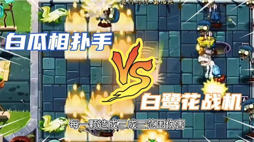 白瓜相扑手和白鹭花战机详解,戴夫直呼内行