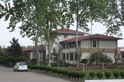 春季校园-德科学院青岛校区