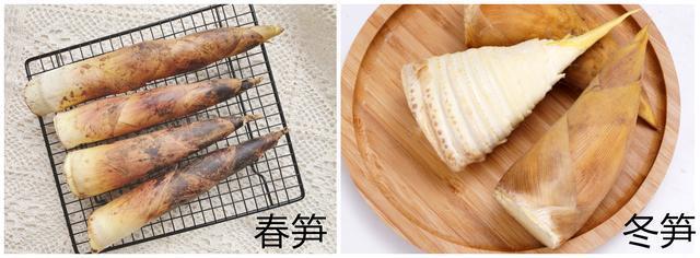 又到一年吃笋季你知道春笋和冬笋有什么区别买错了难吃还费钱
